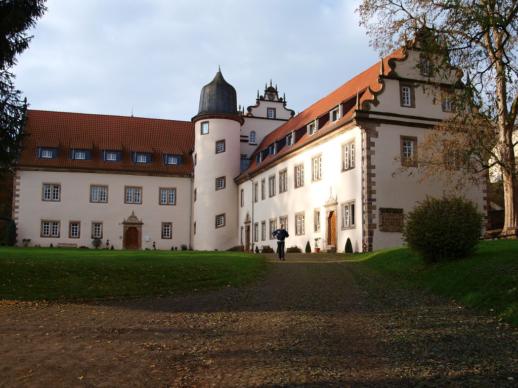 Schloss Buchenau (03).JPG
